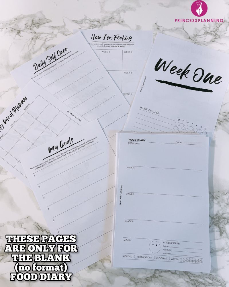grande-food-diary-planner-insert-take-care-of-yourself